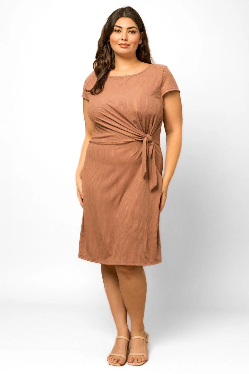 Plus Size Short Sleeve Side Waist Tie Dress